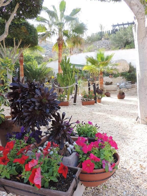 Hotel Las Calas Agua Amarga  Ngoại thất bức ảnh